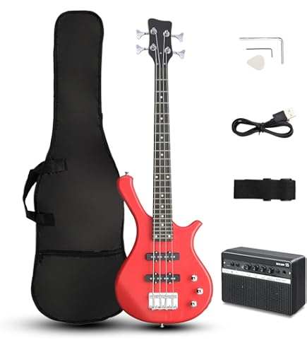 Amazon.com: Lakland Skyline Series 55-01 5-Strings Bass Guitar